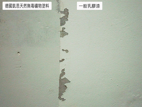 p7130081拷貝-1