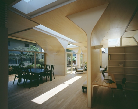kokage_001_1